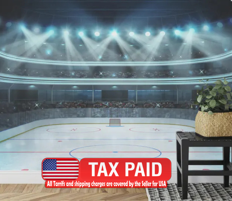 Hockey Arena Wall Mural, Boys Room