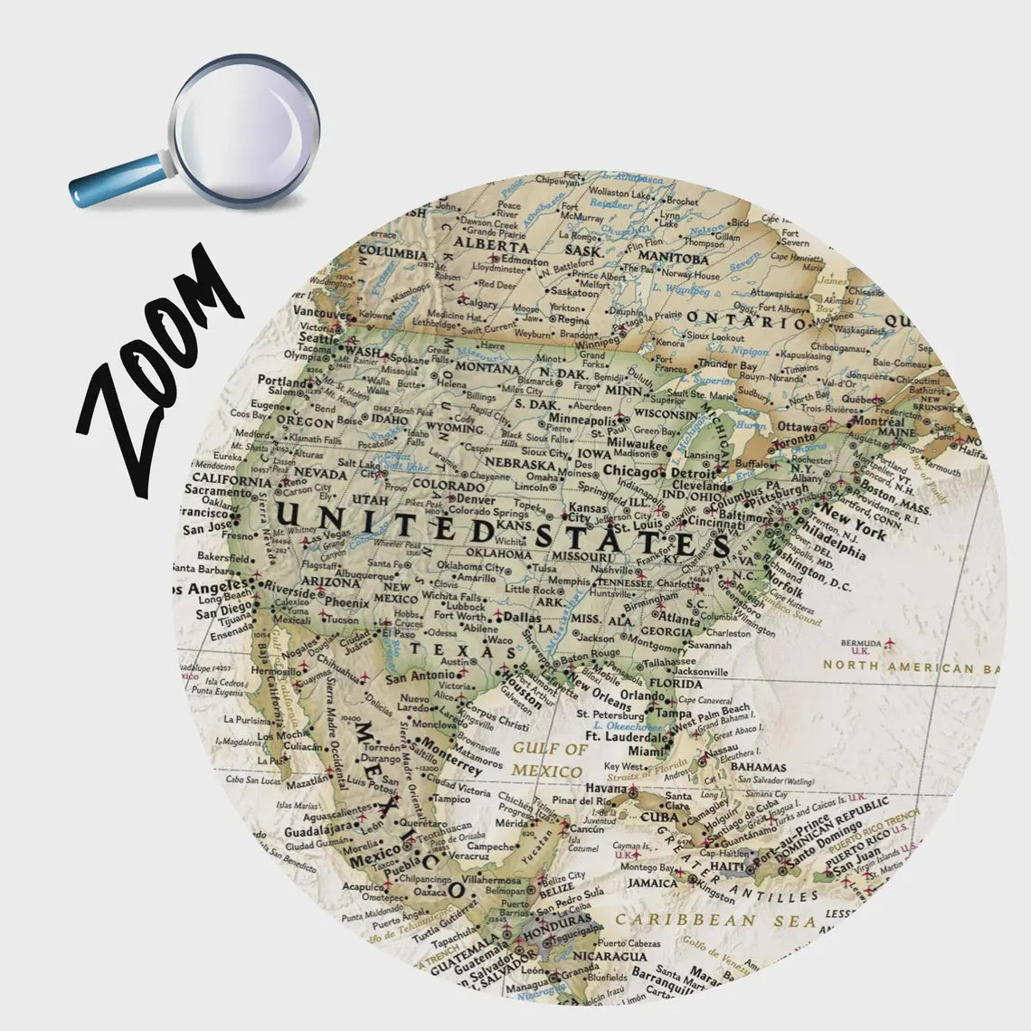 Executive National Geographic World Map wallpaper installed in modern living room interior