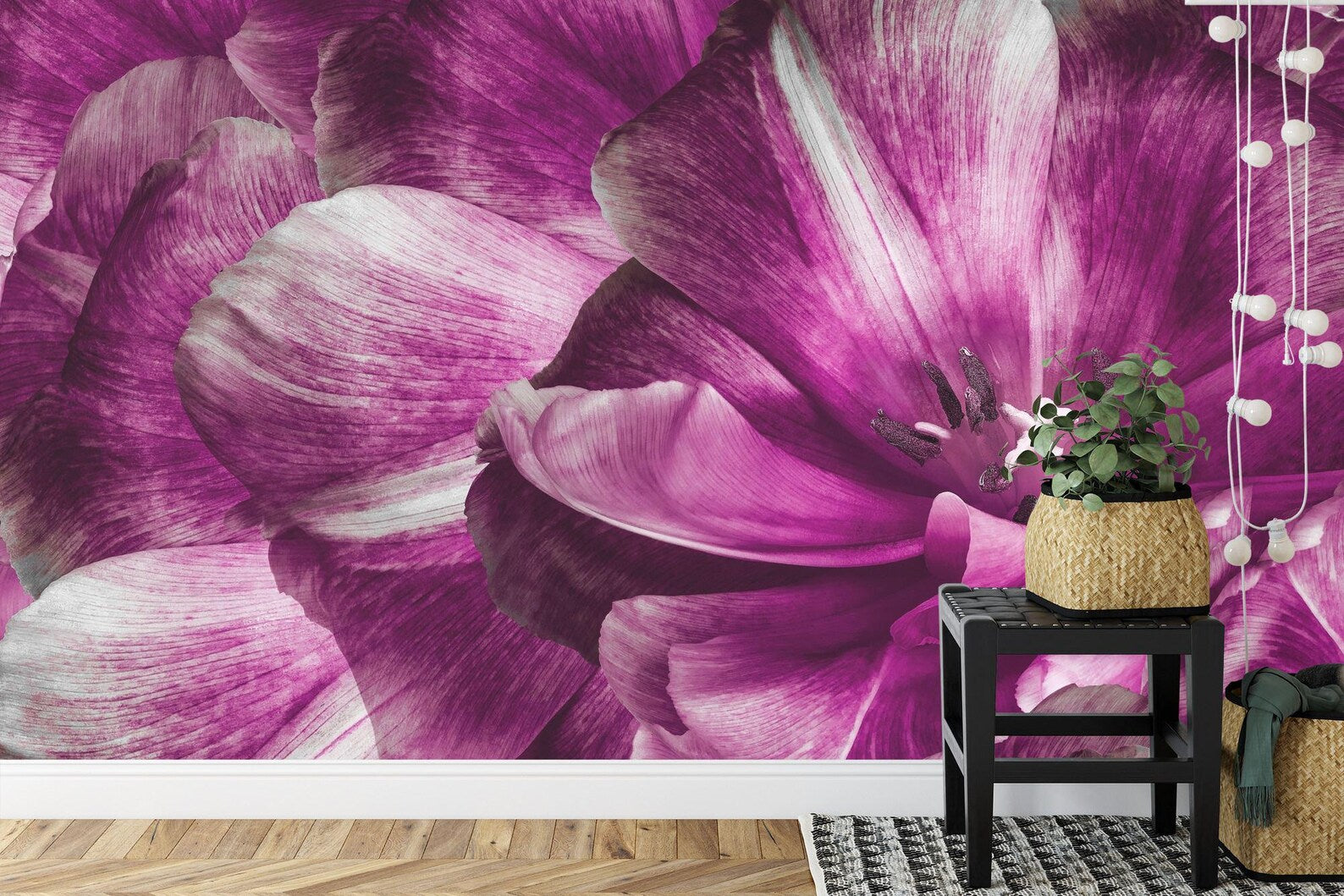 Purple Tulip Flower Wall Mural Art Print