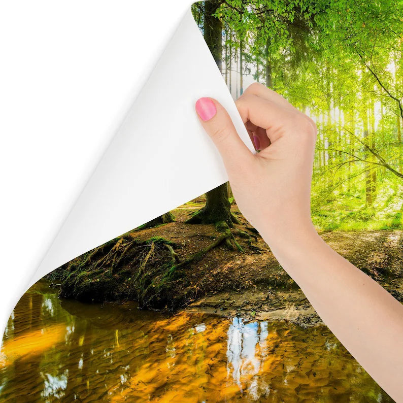 Green Forest Trees Wallpaper Mural – Art