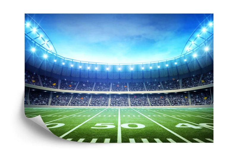 American Football Stadium Wallpaper Mural Gift