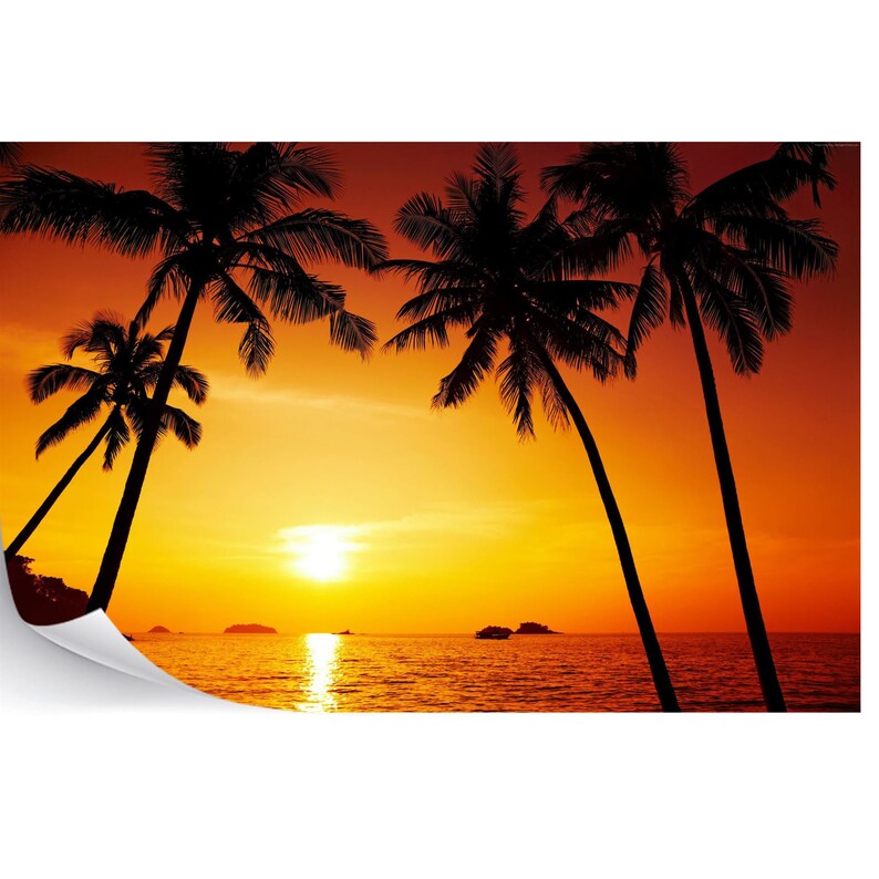 Sunset Palm Beach Wallpaper Mural | Photo Wall