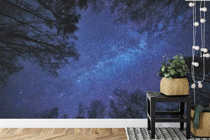 Night Sky Milky Way Forest Wallpaper Mural