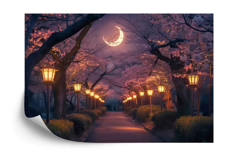 Wallpaper, Cherry Blossom Tree Mural: Moonlit Night Pathway