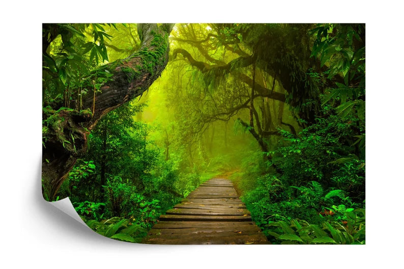 high quality wallpaper mural artwork created for interior decor combining artistic detail and visual clarity wall decor wal