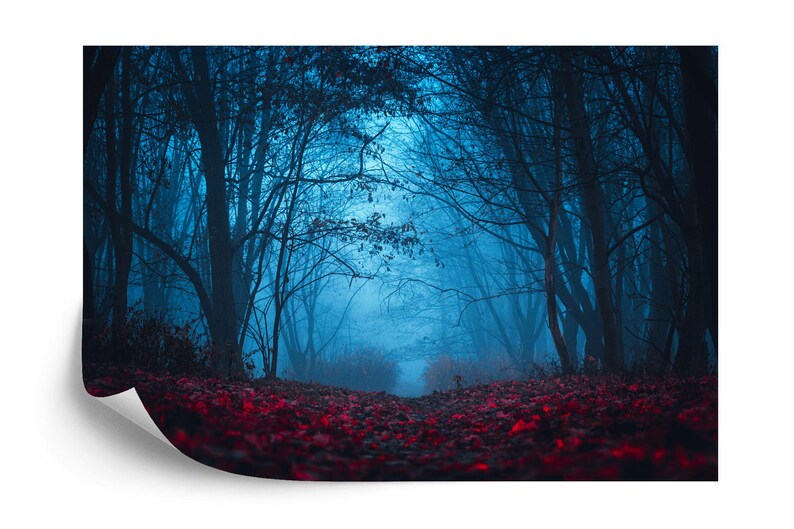 Mystical Forest Wallpaper Mural Nursery Decor