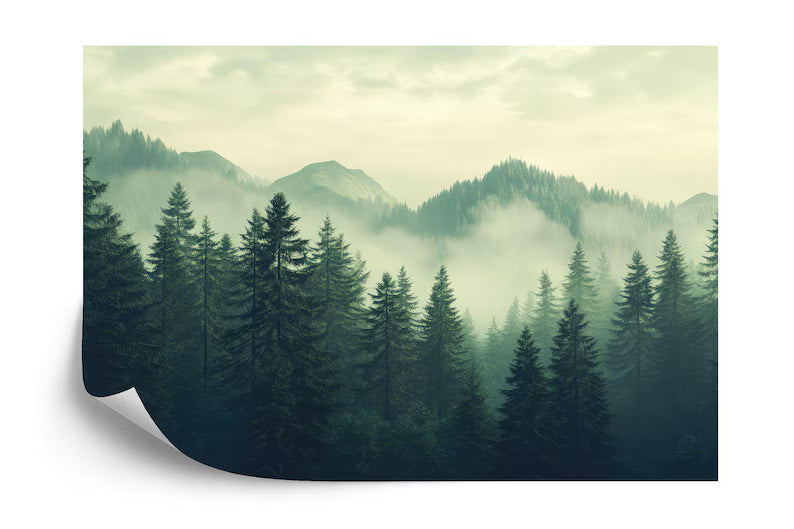 Green Foggy Forest Wallpaper Mural, Gift Art Print