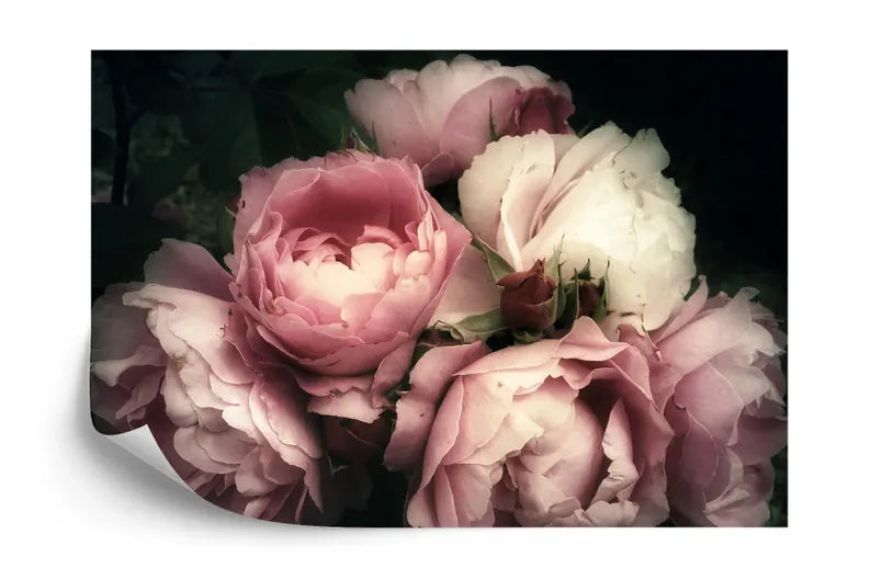 Baroque Peonies Wallpaper Mural, Rich Deep Colors