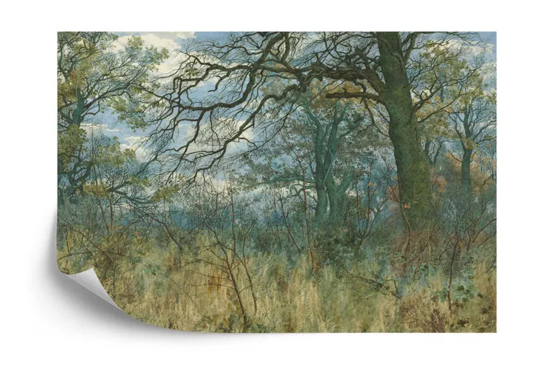 William Fraser Forest Wallpaper Mural, Trees, Undergrowth