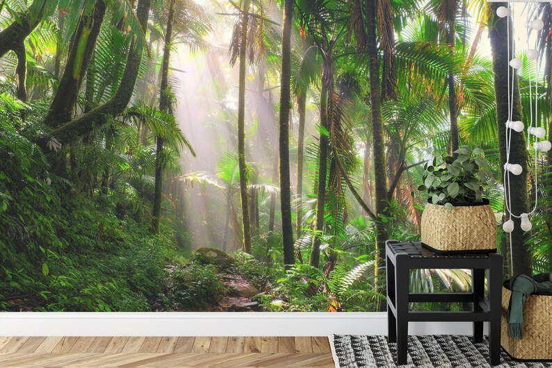 Tropical Jungle River Wallpaper Mural Art Print