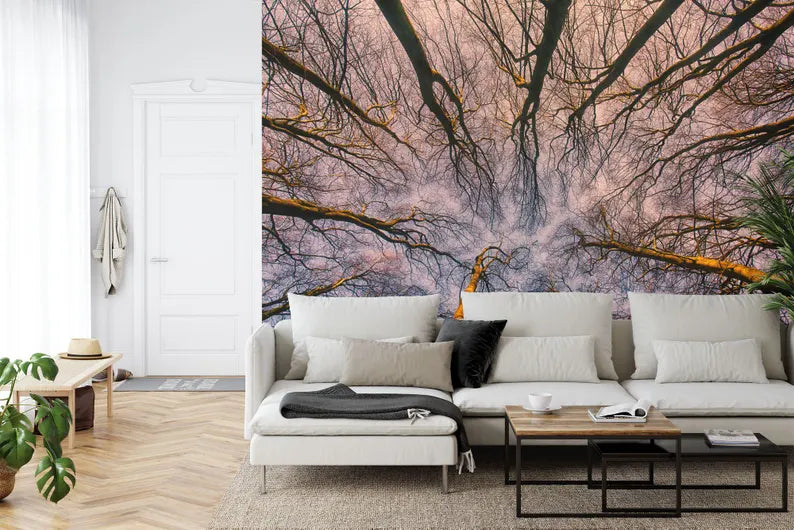 Sunrise Forest ceiling Wallpaper Mural, Blue Violet Sky