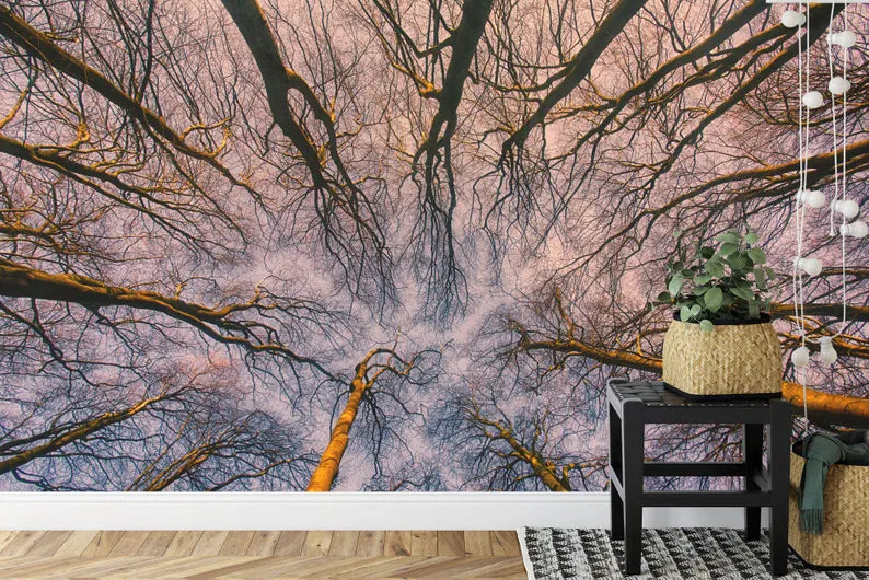 Sunrise Forest ceiling Wallpaper Mural, Blue Violet Sky