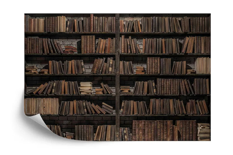 Vintage Bookshelf Wallpaper Mural Library Wall Decal