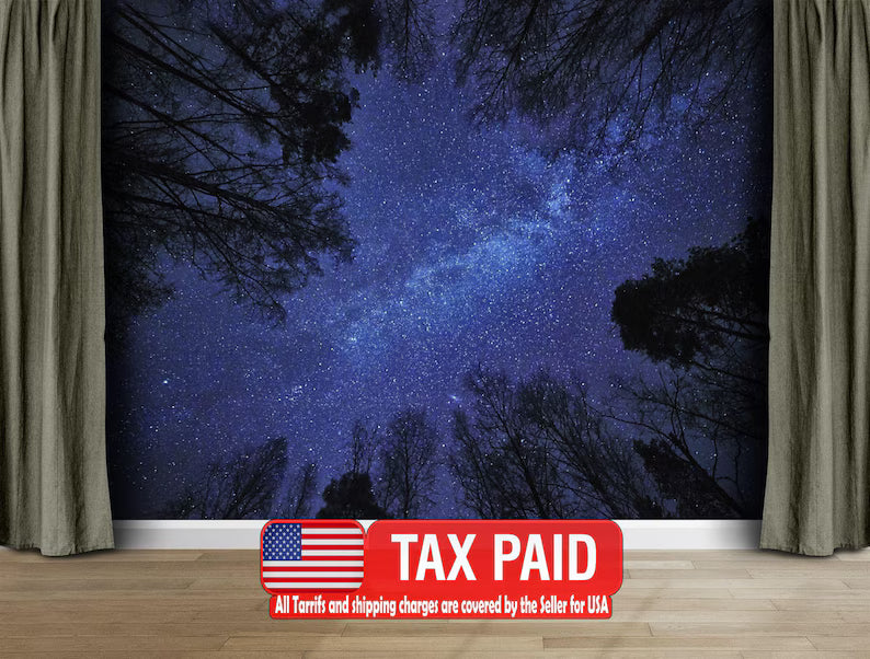 Night Sky Milky Way Forest Wallpaper Mural