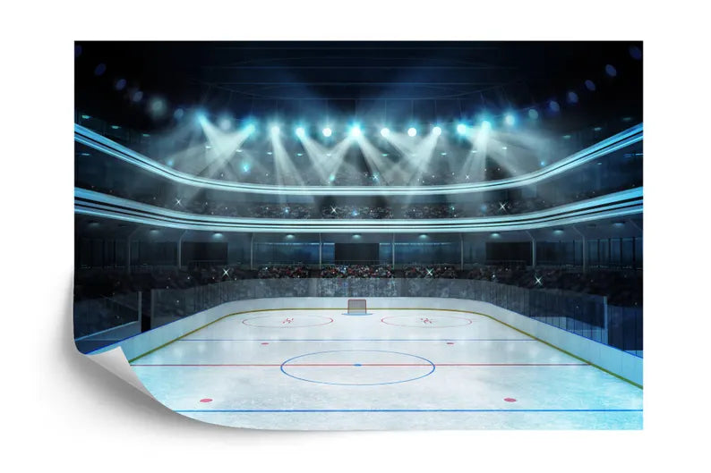 Hockey Arena Stadium Wallpaper Mural for Kids