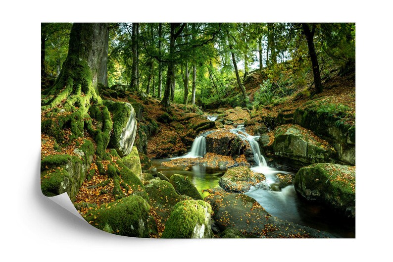 Golitha Falls River Mural, Peel and Stick Wallpaper