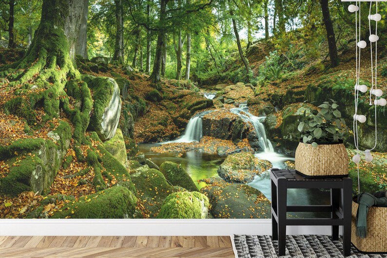 Golitha Falls River Mural, Peel and Stick Wallpaper
