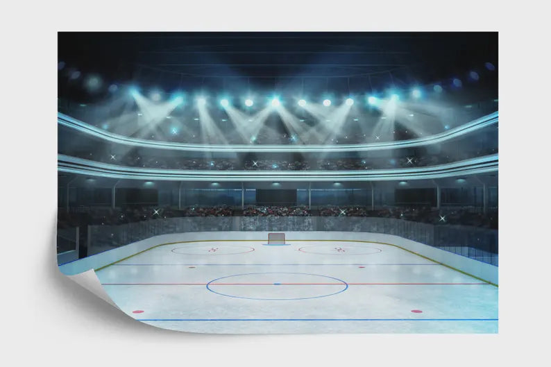 Hockey Arena Wall Mural, Boys Room