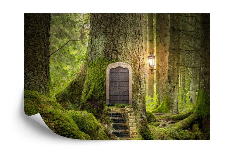 high quality wallpaper mural artwork created for interior decor combining artistic detail and visual clarity wall decor wal