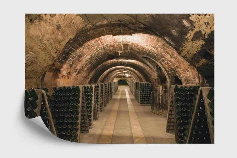 wallpaper mural close view focusing on illustration quality textures and visual depth for interior decoration wall decor wa